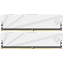 Оперативная память 32Gb DDR4 3200MHz Netac Shadow S White (NTSSD4P32DP-32W) (2x16Gb KIT)_0