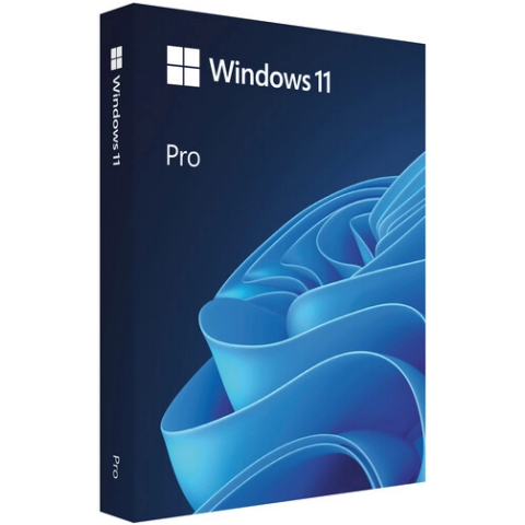 ПО Microsoft Windows 11 Pro 64-bit English Intl USB (HAV-00162)