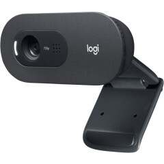 Веб-камера Logitech WebCam C505e (960-001372)_2