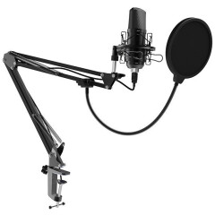 Микрофон Ritmix RDM-169 Black_0
