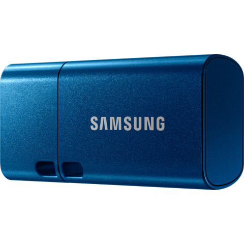 USB Flash накопитель 256Gb Samsung Type-C (MUF-256DA/APC)_1