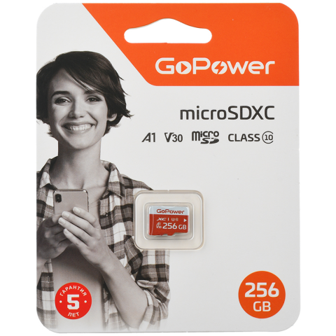 Карта памяти 256Gb MicroSD GoPower (00-00025684)