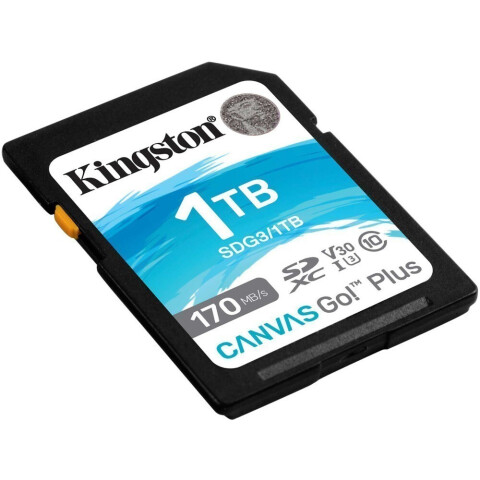Карта памяти 1Tb SD Kingston Canvas Go! Plus (SDG3/1TB)_0