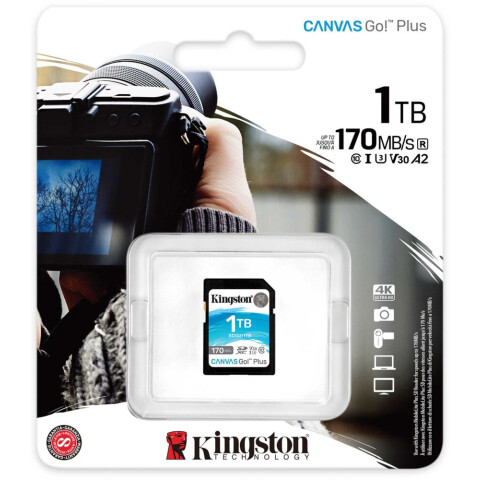 Карта памяти 1Tb SD Kingston Canvas Go! Plus (SDG3/1TB)_1