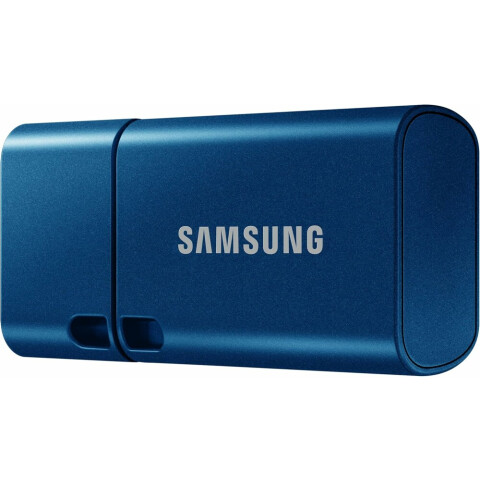 USB Flash накопитель 512Gb Samsung Type-C (MUF-512DA/APC)_0