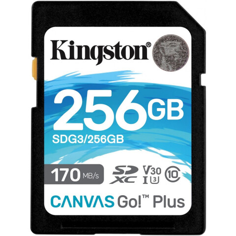 Карта памяти 256Gb SD Kingston (SDG3/256GB)