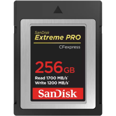 Карта памяти 256Gb CFexpress SanDisk Extreme Pro (SDCFE-256G-GN4NN)_0