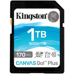 Карта памяти 1Tb SD Kingston Canvas Go! Plus (SDG3/1TB)_1