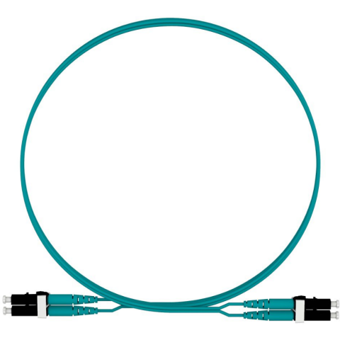 Патч-корд Panduit FZ2ELLNLNSNM001, 1м