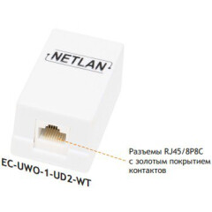 Розетка RJ-45 NETLAN EC-UWO-1-UD2-WT-10_0