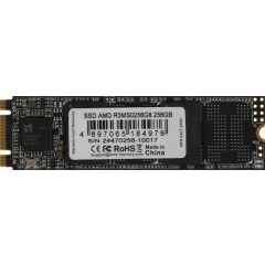 Накопитель SSD 256Gb AMD R3 Series (R3MS0256G8)_0