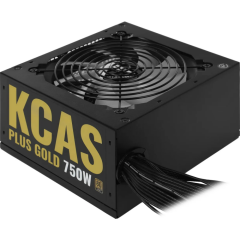 Блок питания 750W Formula KCAS PLUS Gold_3