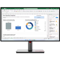 Монитор Lenovo 27" ThinkVision P27q-30 (63A2GAT1UK)_3