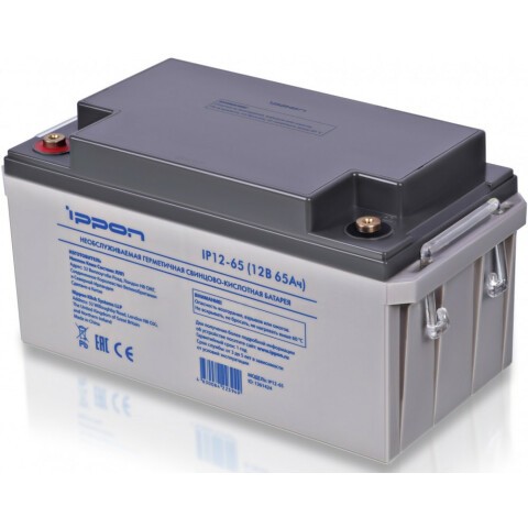 Аккумуляторная батарея Ippon IP12-65