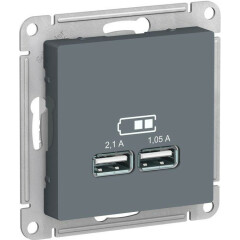Розетка USB Schneider Electric AtlasDesign ATN000733