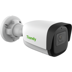 IP камера Tiandy TC-C34WS (I5/E/Y/2.8mm/V4.0)
