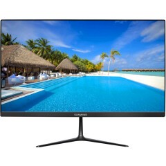 Монитор SunWind 22" SUN-M22BA102