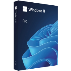 ПО Microsoft Windows 11 Pro 64-bit English Intl USB (HAV-00162)