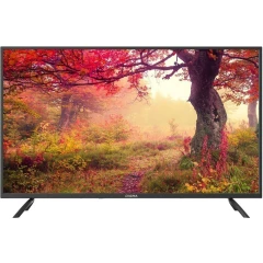 ЖК телевизор Digma 43" DM-LED43MBB21