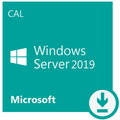 ПО Microsoft Windows Server CAL 2019 English 1pk DSP OEI 5 Clt Device CAL (R18-05829)