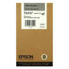 Картридж Epson C13T603700 Light Black