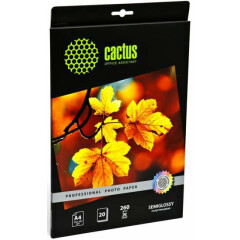 Бумага Cactus CS-SGA426020 (A4, 260 г/м2, 20 листов)