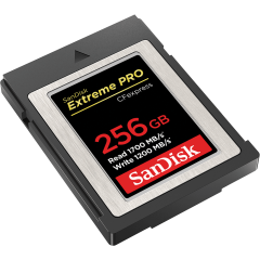 Карта памяти 256Gb CFexpress SanDisk Extreme Pro (SDCFE-256G-GN4NN)