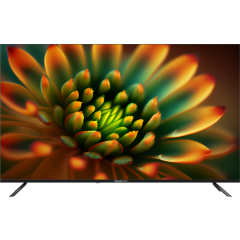 ЖК телевизор TopDevice 55" TDTV55BS06U Black