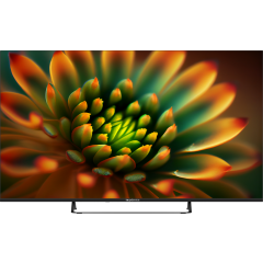 ЖК телевизор TopDevice 55" TDTV55BS05U