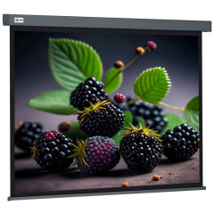Экран Cactus Wallscreen 127x127см (CS-PSW-127X127-SG)