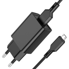 Сетевое зарядное устройство Borofone BA68A Glacier Black + MicroUSB Cable