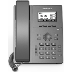 VoIP-телефон Flyingvoice P10W