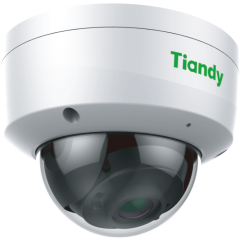 IP камера Tiandy Dome TC-NC552S