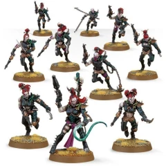 Миниатюры Games Workshop WH40K: Drukhari Wyches