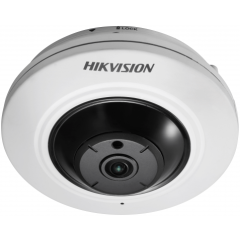 IP камера Hikvision DS-2CD2955FWD-IS
