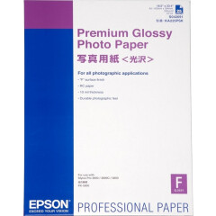 Бумага Epson Premium Glossy Photo Paper (C13S042091)