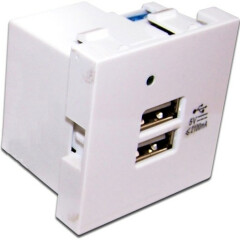 Розетка USB Lanmaster LAN-EZ45X45-2U/R2-WH