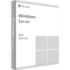 ПО Microsoft Windows Server CAL 2022 Russian 1pk DSP OEI 1 Clt User CAL (R18-06457)
