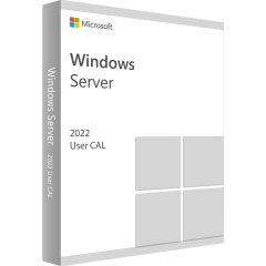 ПО Microsoft Windows Server CAL 2022 Russian 1pk DSP OEI 5 Clt User CAL (R18-06475)