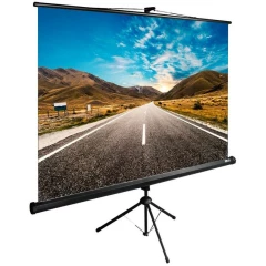 Экран Cactus TriExpert 220x220см (CS-PSTE-220Х220-BK)