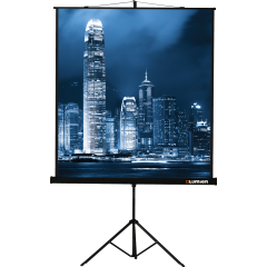 Экран Lumien Master View 153x153 Matte White FiberGlass