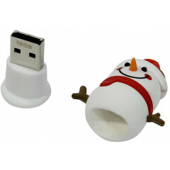 USB Flash накопитель 16Gb SmartBuy Wild Snow Paul (SB16GBSnowP)