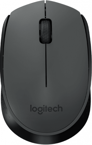 Беспроводная мышь Logitech M170